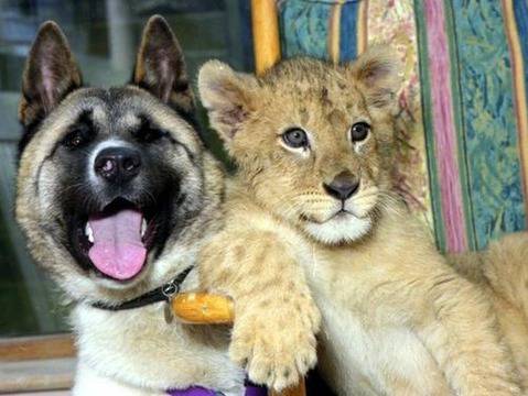 Можете ли да повярвате в тези снимки