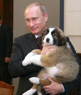 Владимир Путин