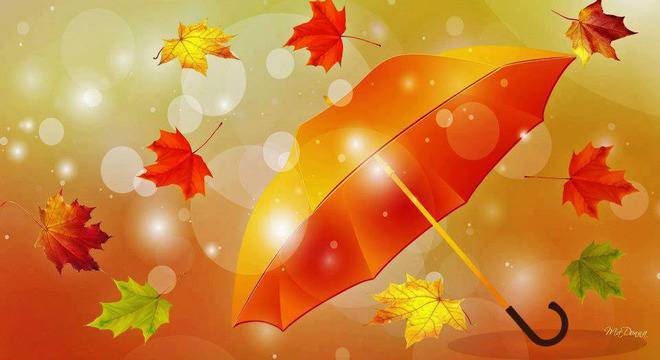 КАК СЕ ИЗБИРА ГРАЖДАНСКА ОТГОВОРНОСТ?