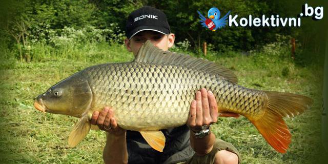 РИБОЛОВ НА МЕЧТИТЕ! За РИБАРИ – невероятна течност за изключителен и гарантирано богат улов на риба от Вита Форте!