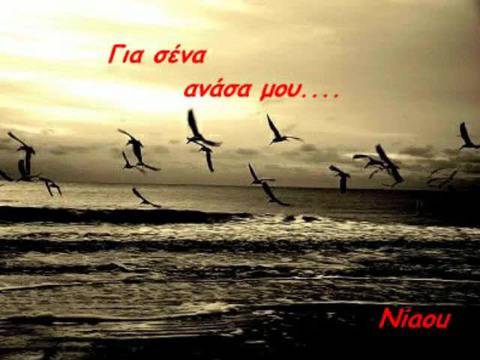 С Теб – Обичам те Guns