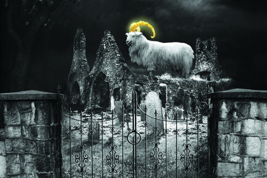 Какви са тайните на „Веселото гробище“?