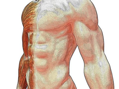 Гъбата пория кокос помага при редица здравословни проблеми