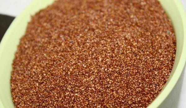 Африканско житно растение Теф