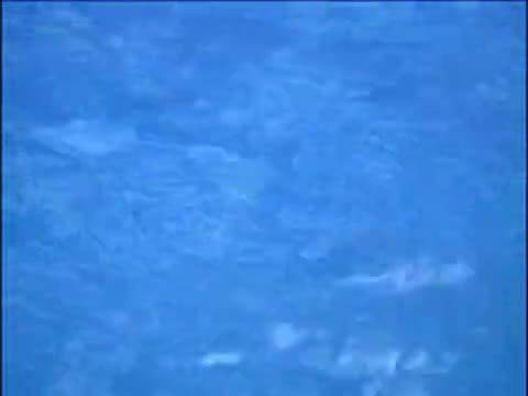 Лияна плува в басейна VIP BROTHER