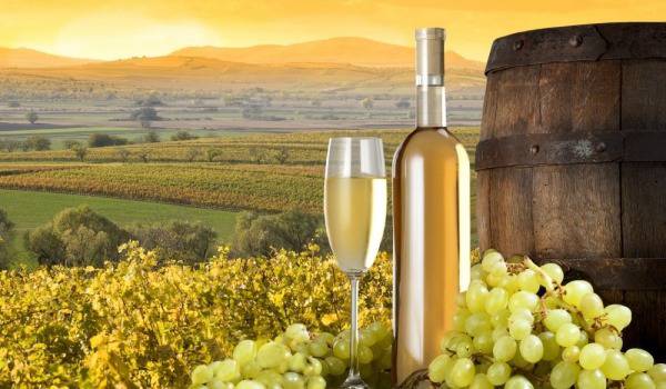 С какви храни и ястия да поднесем Мускат