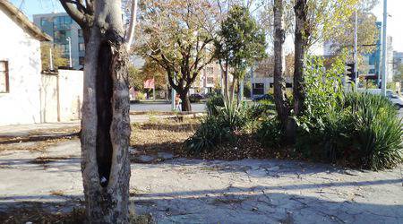 Нетрадиционно кошче за боклук