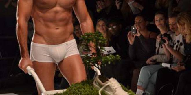 Как да си направим мини градинка