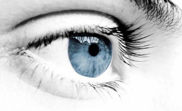 Талантът се преценява по цвета на очите