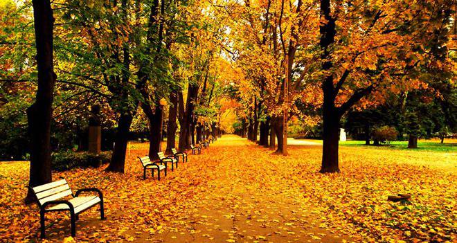 10 от най-известните градски паркове у нас