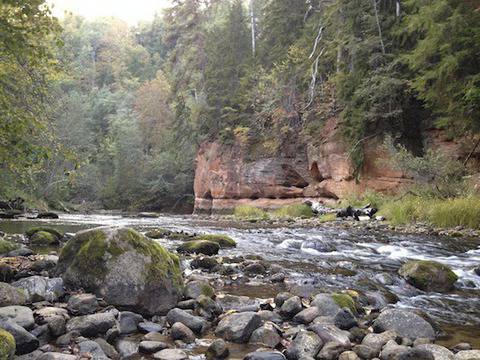 iPhone фотография: Как да обработваме есенни пейзажи със Snapseed?