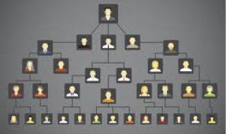 Изследователи съставиха родословно дърво с 13 милиона роднини