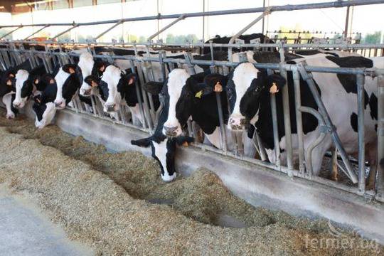 Мартин Вайсберг, Дания: Млекодобивът зависи пряко от принципите на хранене