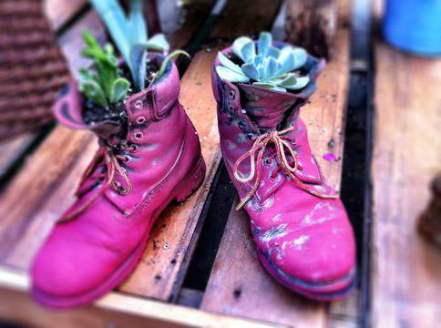 Чудати саксии за дома или градината