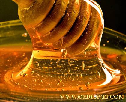 Медът, универсалното лекарство срещу болестите