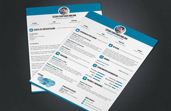 Перфектната автобиография (CV)