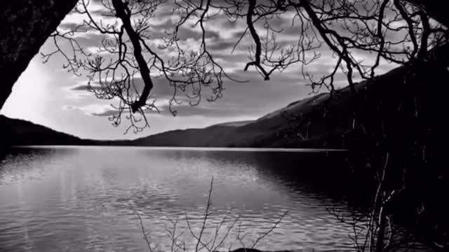 Не казвай сбогом