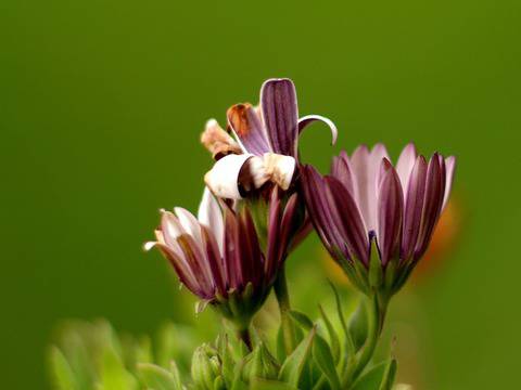 Тук е… есента!