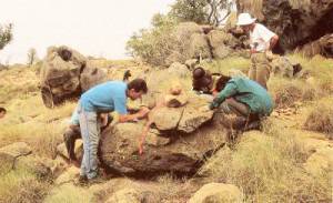 Останки от птицечовка-“Годзила“ откриха в Австралия