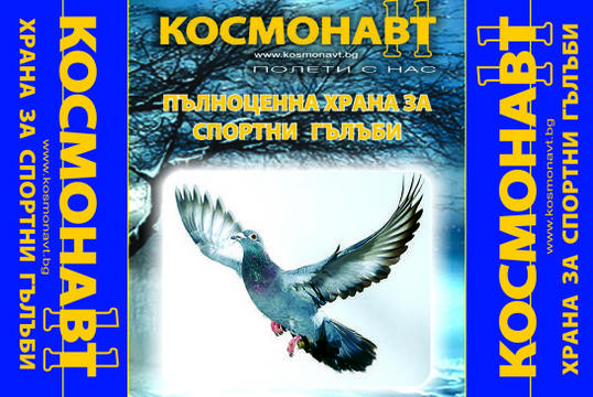 Метални стелажи – индустриални стелажи, рафтове