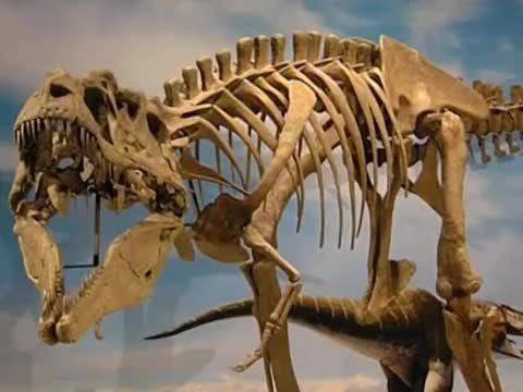 Учени откриха нов вид динозавър