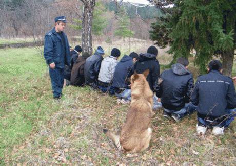 1166 полицаи пазят турската ни граница – заловиха 97 имигранти за денонощие