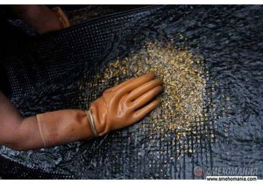 В Румъния не си дадоха златото на канадци