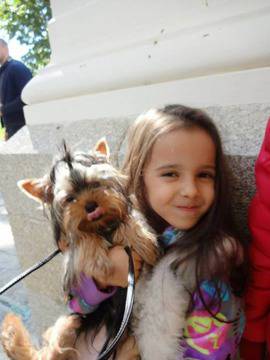 Гущеров подари на Мария куче за 1000 лв (снимки) видяна 4077 коментари 2