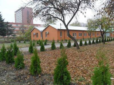 Възстановяват парка в МБАЛ „Св. Пантелеймон“