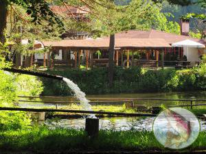 Барбекю Рибарника