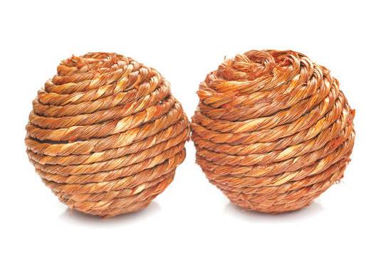 Продавам тестис