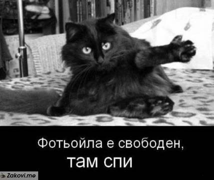 Фотьойла е свободен