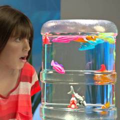 Робо рибка е най-продаваната играчка за 2013 г.