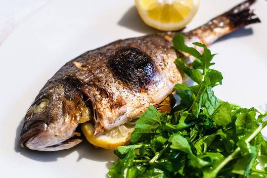 Ципура на скара