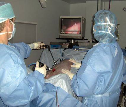 Д-р Николай Белев: Лапароскопската хирургия е доказала своята ефективност при лечението на рака!