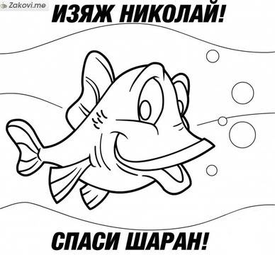 Изяж Николай – спаси шаран!