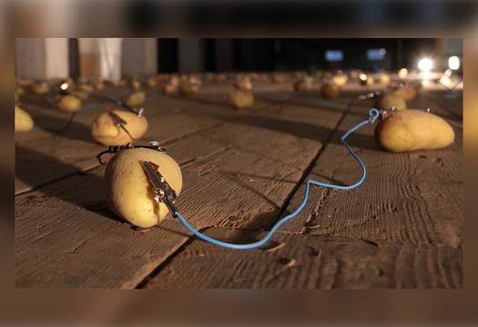 Варените картофи са 10 пъти по-добри батерии от суровите