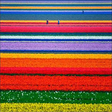 Невероятно красиви цветни пейзажи – 2 част . ~ Шест – Седем чудеса :)