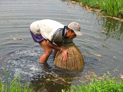 Древните земеделски практики могат да ограничат изчезването на животни и растения