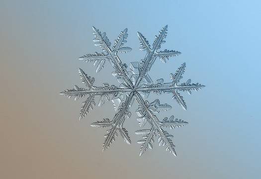 Невероятно детайлни макро снимки на снежинки без микроскоп