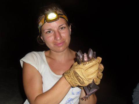 Русо миньонче от Пловдив оцелява сред крокодили /снимки/