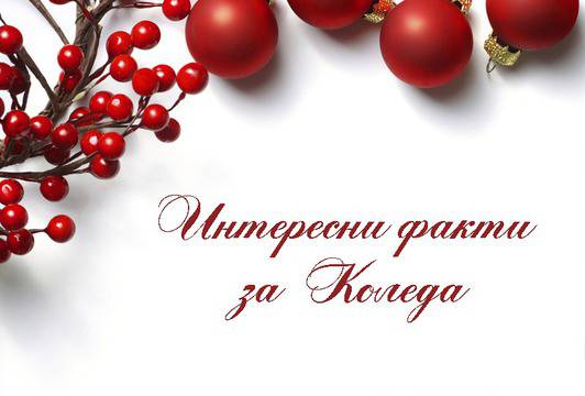 Интересни факти за Коледа