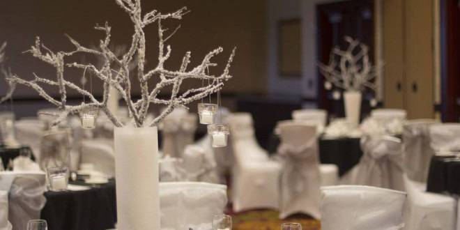 Как да си направим Клонки с Ледени Диаманти за Коледа