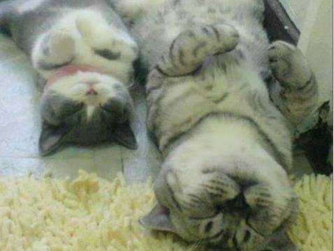 Като две капки вода