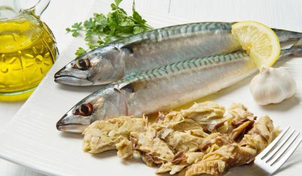 Сос Гарум – деликатес от скумрия