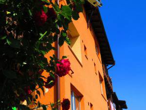 Къща за гости Груеви