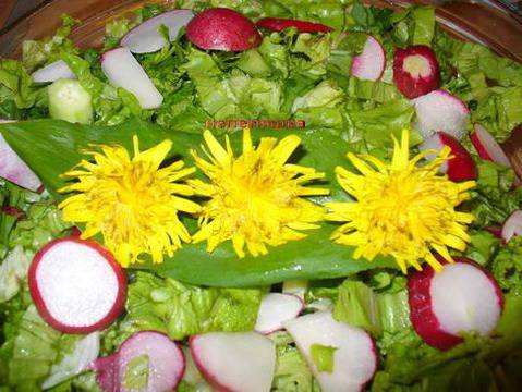 Срещу рак: Корен от глухарче е по-ефективен от химиотерапията