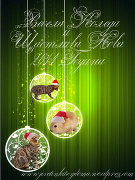 Весела Коледа и Щастлива Нова Година