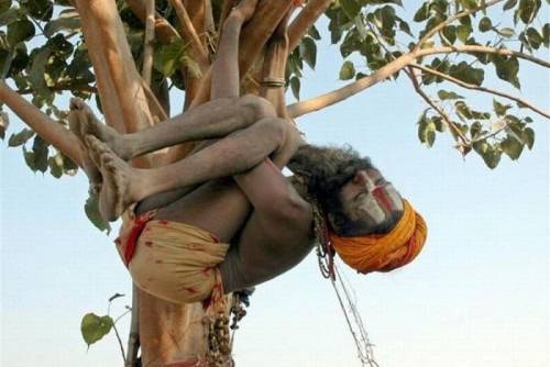 Свалиха бразилски индианец от дърво край Маракана