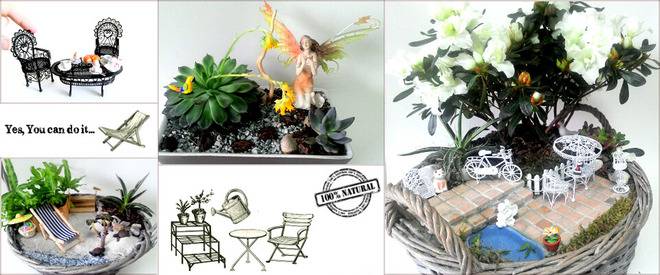 Оригинални подаръци/ Стайни цветя/ Кактуси/ Сукуленти/ unikalni podaraci